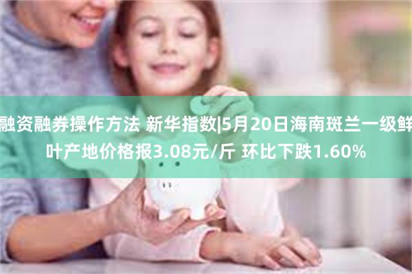 融资融券操作方法 新华指数|5月20日海南斑兰一级鲜叶产地价格报3.08元/斤 环比下跌1.60%