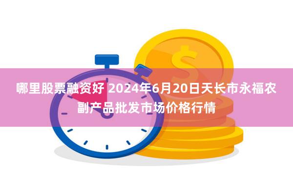 哪里股票融资好 2024年6月20日天长市永福农副产品批发市场价格行情