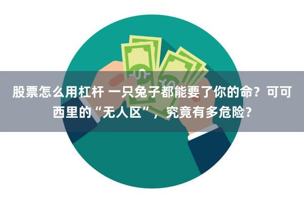 股票怎么用杠杆 一只兔子都能要了你的命？可可西里的“无人区”，究竟有多危险？