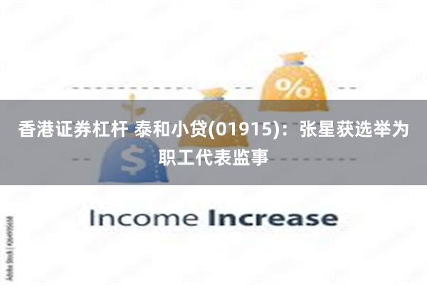 香港证券杠杆 泰和小贷(01915)：张星获选举为职工代表监事