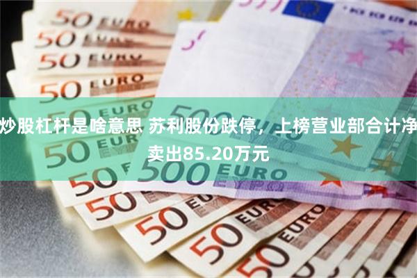 炒股杠杆是啥意思 苏利股份跌停，上榜营业部合计净卖出85.20万元