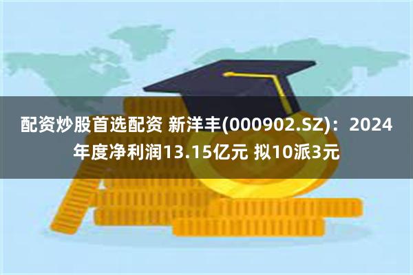 配资炒股首选配资 新洋丰(000902.SZ)：2024年度净利润13.15亿元 拟10派3元