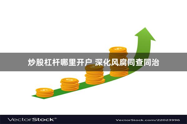 炒股杠杆哪里开户 深化风腐同查同治