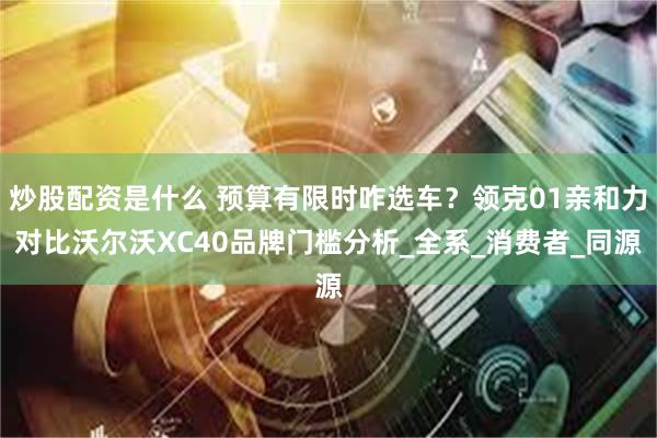 炒股配资是什么 预算有限时咋选车？领克01亲和力对比沃尔沃XC40品牌门槛分析_全系_消费者_同源